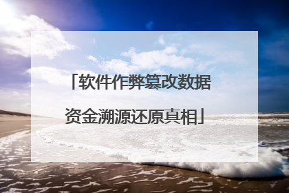 软件作弊篡改数据 资金溯源还原真相