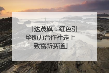 达茂旗：红色引擎助力合作社走上致富新赛道