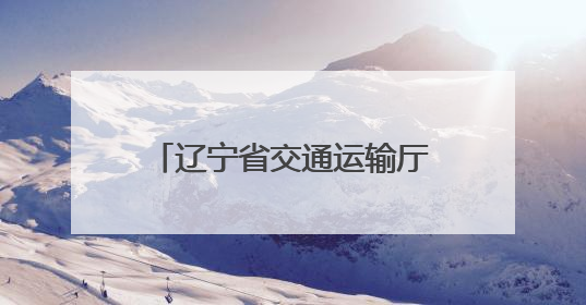 辽宁省交通运输厅副厅长杨树履新省交投集团总经理