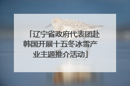 辽宁省政府代表团赴韩国开展十五冬冰雪产业主题推介活动