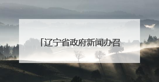 辽宁省政府新闻办召开新闻发布会解读《辽宁省促进人工智能创新发展实施方案》