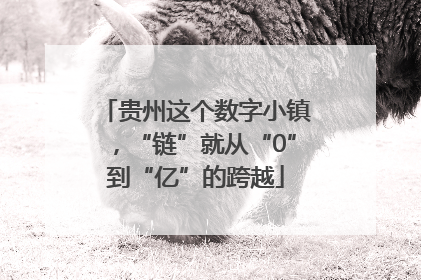 贵州这个数字小镇，“链”就从“0”到“亿”的跨越
