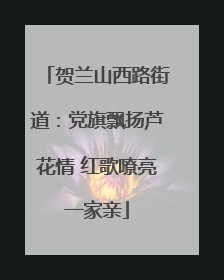 贺兰山西路街道：党旗飘扬芦花情 红歌嘹亮一家亲