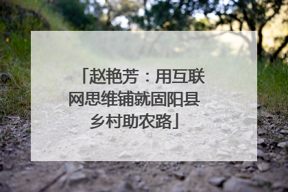 赵艳芳：用互联网思维铺就固阳县乡村助农路