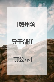 赣州领导干部任前公示