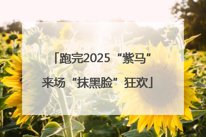 跑完2025“紫马” 来场“抹黑脸”狂欢