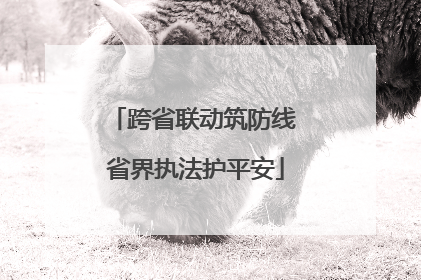 跨省联动筑防线 省界执法护平安