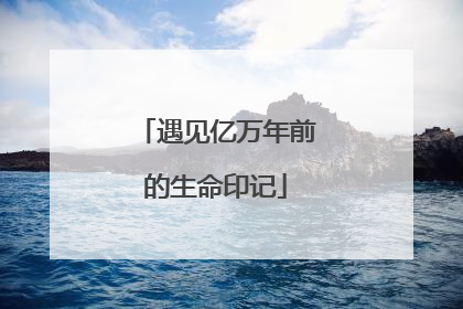 遇见亿万年前的生命印记