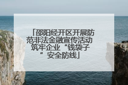 邵阳经开区开展防范非法金融宣传活动 筑牢企业“钱袋子”安全防线