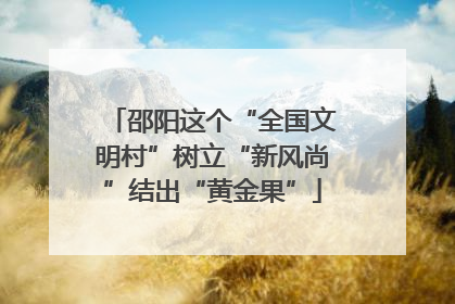 邵阳这个“全国文明村”树立“新风尚”结出“黄金果”