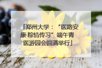 郑州大学：“医路安康·粽情传习”端午青医游园会圆满举行