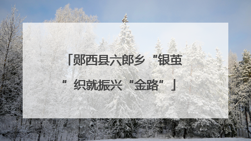 郧西县六郎乡“银茧”织就振兴“金路”