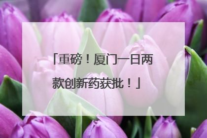 重磅！厦门一日两款创新药获批！