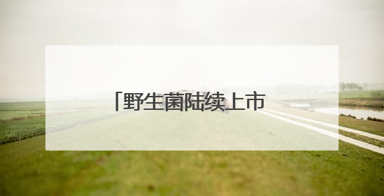 野生菌陆续上市 易门“鲜”气爆棚