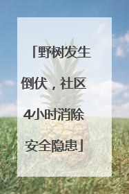 野树发生倒伏，社区4小时消除安全隐患