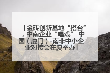 金砖创新基地“搭台”，中南企业“唱戏” 中国（厦门）-南非中小企业对接会在厦举办