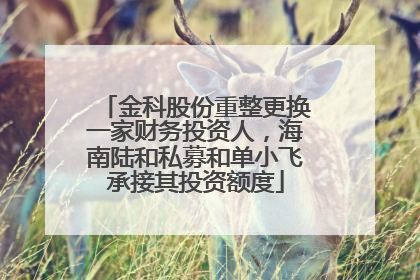 金科股份重整更换一家财务投资人，海南陆和私募和单小飞承接其投资额度