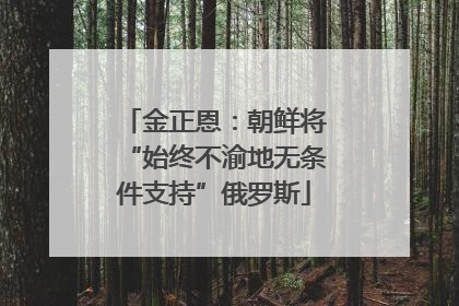 金正恩：朝鲜将“始终不渝地无条件支持”俄罗斯