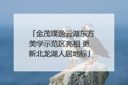 金茂璞逸云湖东方美学示范区亮相 更新北龙湖人居地标
