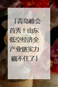 青岛峰会首秀！山东低空经济全产业链实力藏不住了