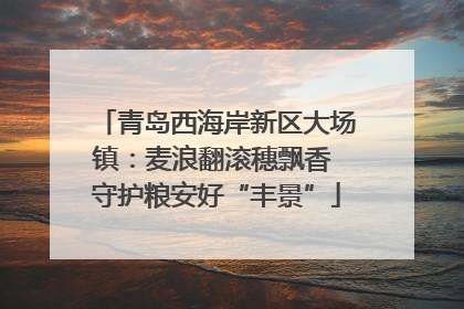 青岛西海岸新区大场镇：麦浪翻滚穗飘香 守护粮安好“丰景”