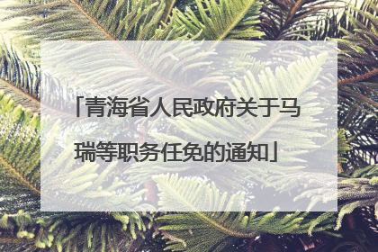 青海省人民政府关于马瑞等职务任免的通知