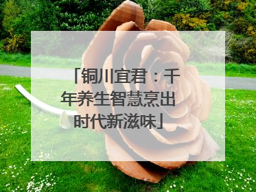 铜川宜君：千年养生智慧烹出时代新滋味