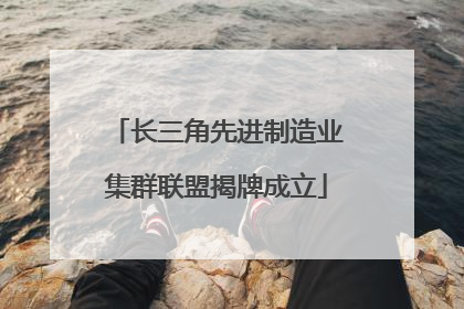 长三角先进制造业集群联盟揭牌成立