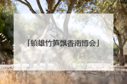 镇雄竹笋飘香南博会