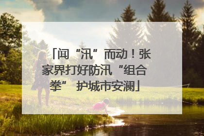 闻“汛”而动！张家界打好防汛“组合拳” 护城市安澜