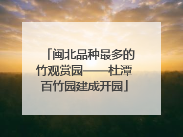 闽北品种最多的竹观赏园——杜潭百竹园建成开园