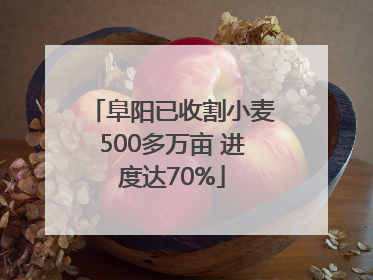 阜阳已收割小麦500多万亩 进度达70%