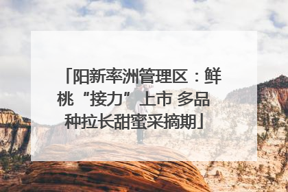 阳新率洲管理区：鲜桃“接力”上市 多品种拉长甜蜜采摘期