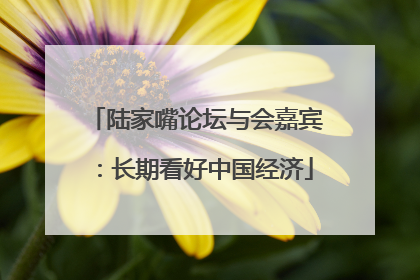 陆家嘴论坛与会嘉宾：长期看好中国经济