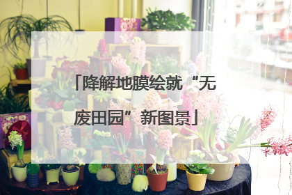 降解地膜绘就“无废田园”新图景