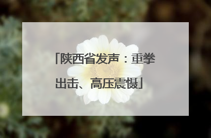 陕西省发声：重拳出击、高压震慑