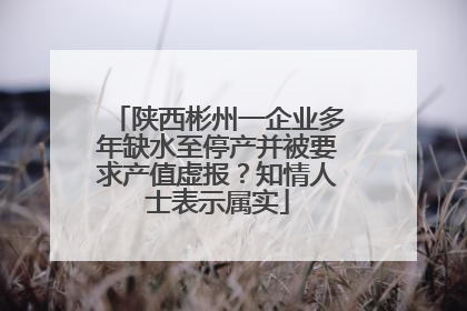 陕西彬州一企业多年缺水至停产并被要求产值虚报？知情人士表示属实