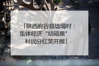 陕西府谷县埝墕村：集体经济“结硕果” 村民分红笑开颜