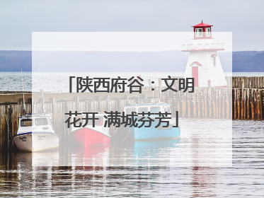 陕西府谷：文明花开 满城芬芳