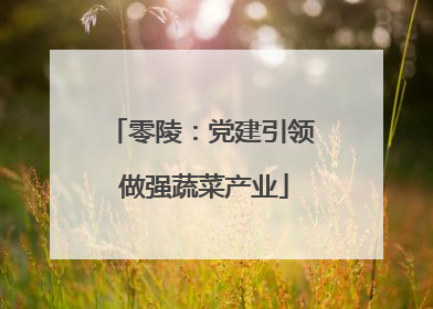 零陵：党建引领 做强蔬菜产业