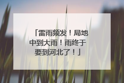 雷雨频发！局地中到大雨！雨终于要到河北了！