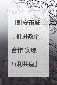 雅安雨城：推进政企合作 实现互利共赢