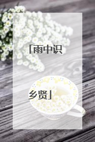 雨中识乡贤