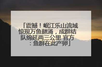 震撼！岷江乐山流域惊现万鱼翻涌，成群结队绵延两三公里 官方：鱼群在此产卵