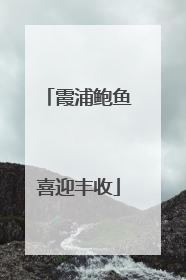 霞浦鲍鱼喜迎丰收