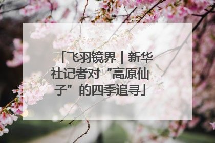 飞羽镜界｜新华社记者对“高原仙子”的四季追寻
