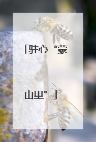 驻心“蒙山里”