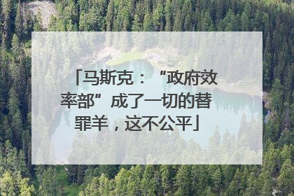 马斯克：“政府效率部”成了一切的替罪羊，这不公平