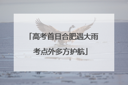 高考首日合肥遇大雨 考点外多方护航