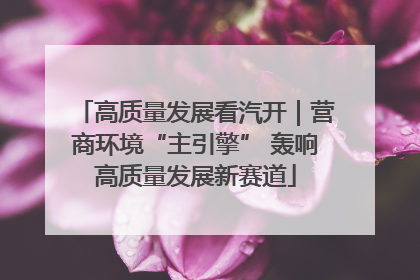高质量发展看汽开｜营商环境“主引擎” 轰响高质量发展新赛道